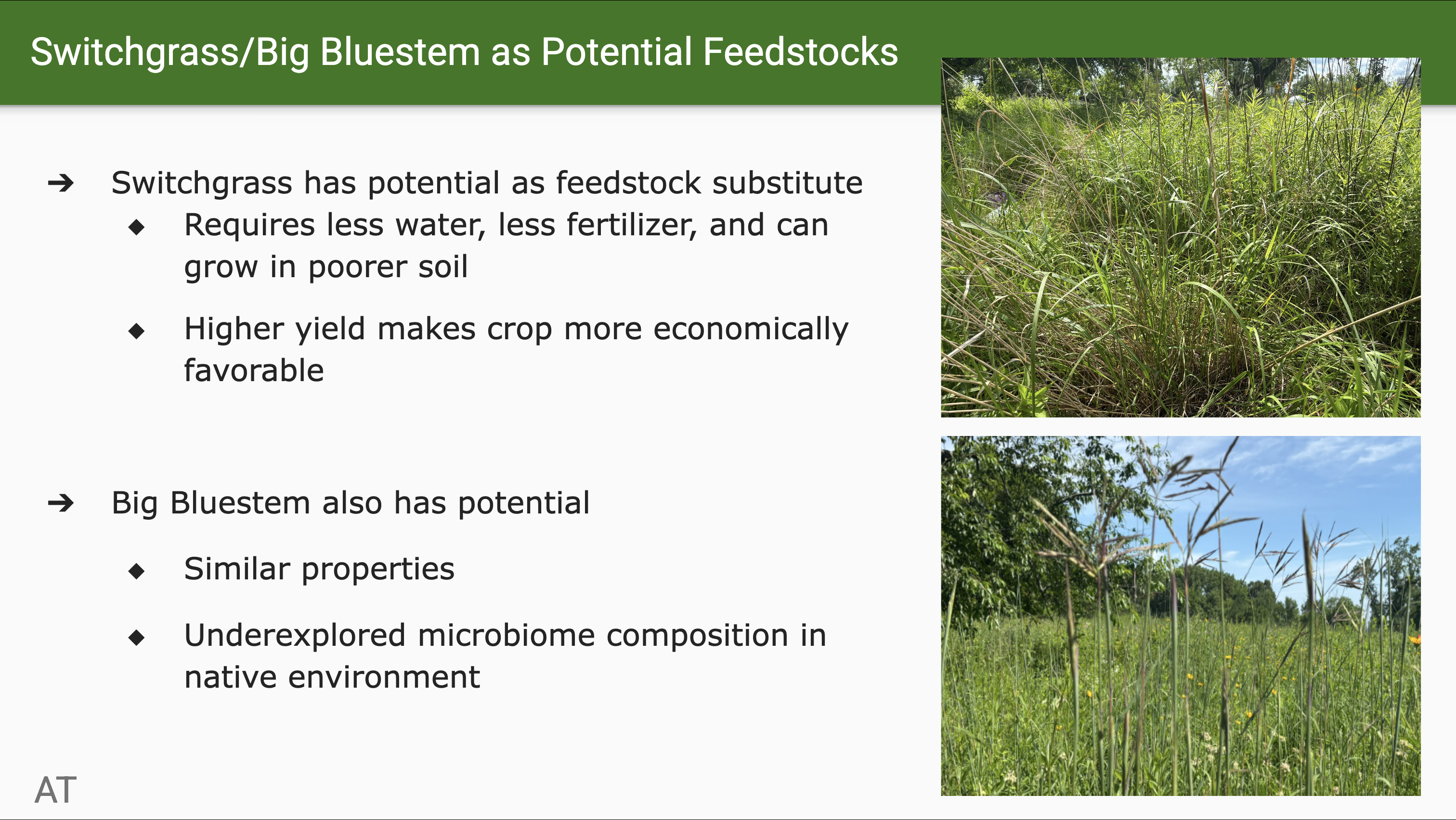 Slide 5